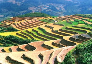Sapa – Halong Bay 5D/4N Sapa – Halong Bay 5D/4N