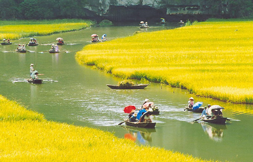 Hoa Lu – Tam Coc 1 day