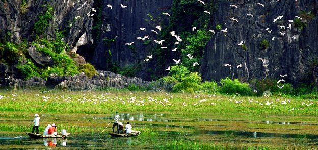 Vietnam Travel Information