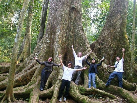 Cuc Phuong National Park 1 day