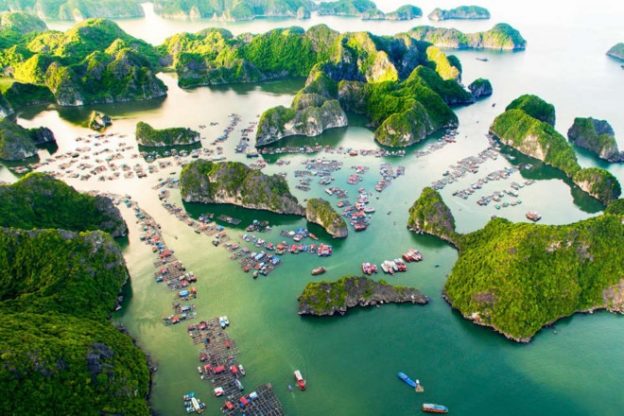 Best thing to do in Lan Ha Bay
