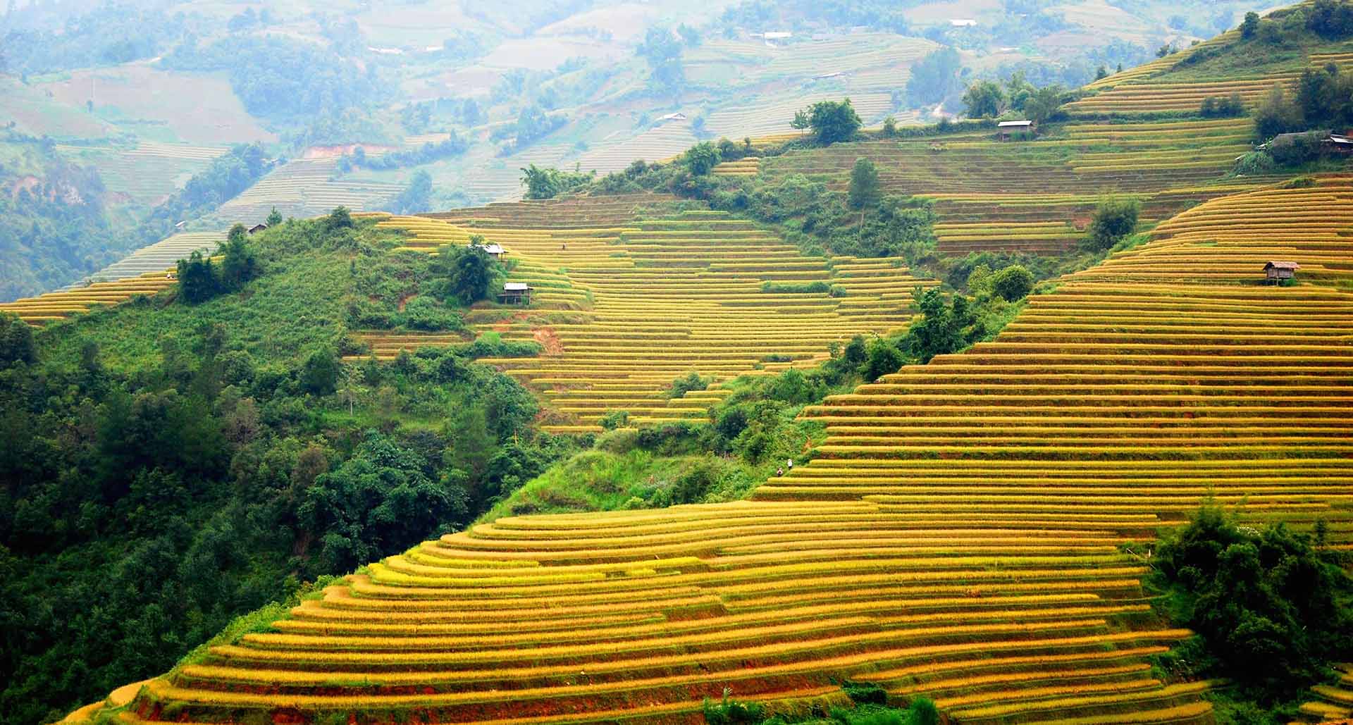 Hanoi – Mu Cang Chai – Halong – Ninh Binh 7D6N